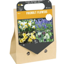Balenie 40 kusov cibuľovín zmesi Friendly Flowers pre rôzne jarné kvety v papierovej taške s rúčkou.