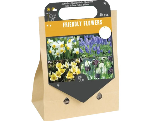 Balenie 40 kusov cibuľovín zmesi Friendly Flowers pre rôzne jarné kvety v papierovej taške s rúčkou.