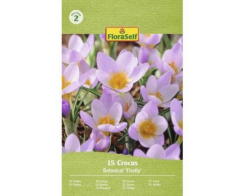 Kvitnúce krokusy odrody Firefly v balení po 15 kusoch s logom FloraSelf