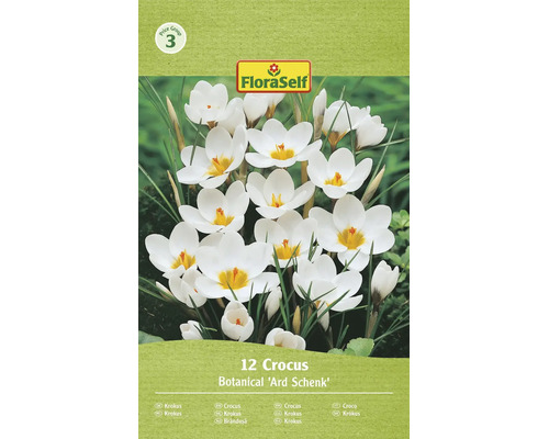 Kvetinove cibule krokus botanicky Ard Schenk dvanast kusov logo FloraSelf cenova skupina tri