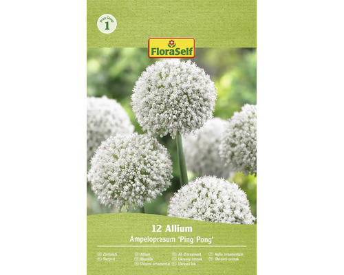 Kvetinové cibuloviny Allium Ampeloprasum Ping Pong od FloraSelf v balení po 12 kusoch pre guľovité biele kvetenstvo v záhrade