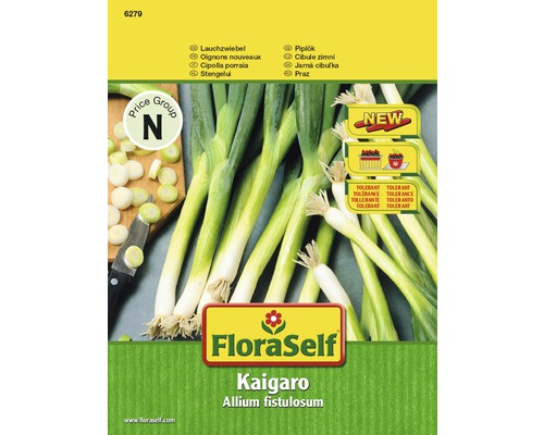 Balenie semien FloraSelf Kaigaro cibuľa zimná