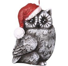 Sova s vianočnou čiapkou