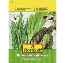FloraSelf Zmes talianskych šalátov balenie semien