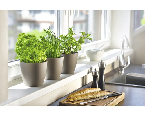 Kuchynská scéna s bylinkami v kvetináčoch na okennom parapete, chlieb na doske na krájanie