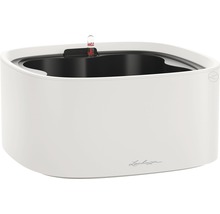 Kvetináč Lechuza Cube so zavlažovacím systémom