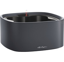 Kvetináč Lechuza Cube so zavlažovacím systémom