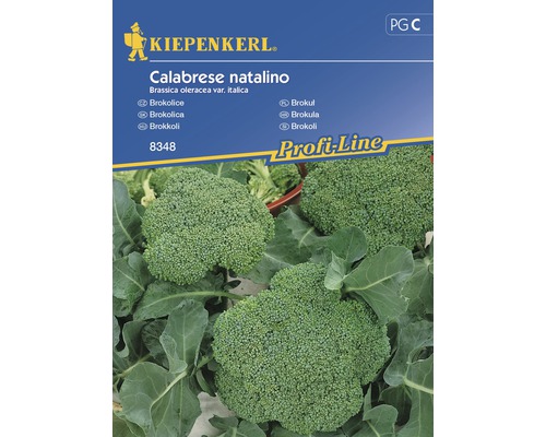 Brokolica Calabrese Natalino Kiepenkerl