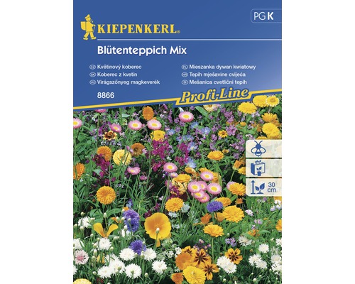 Kvetinový koberec zmes kvetín Kiepenkerl