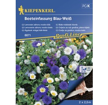 Zmes modrých a bielych kvetín výsevný pás Kiepenkerl-thumb-0