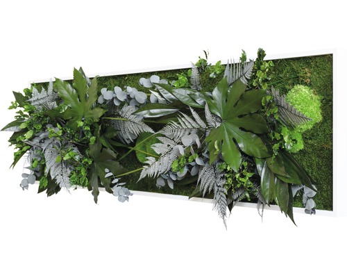 Nástenný obraz s rôznymi zelenými listami a machom v bielom ráme