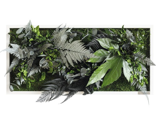 Obraz z rastlín styleGREEN Džungľa 57x27cm