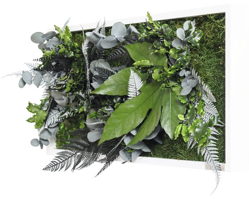 Dekoratívny nástenný obraz s rôznymi rastlinami a machom v bielom ráme