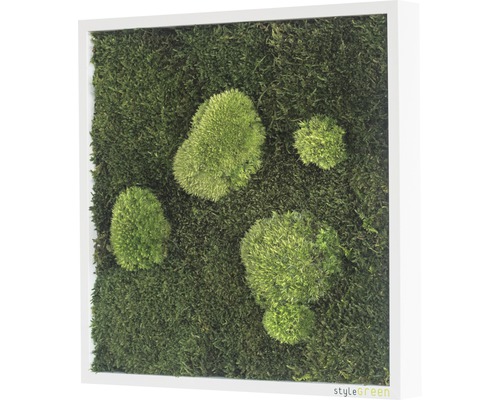 Machový obraz s rámom na dekoráciu steny