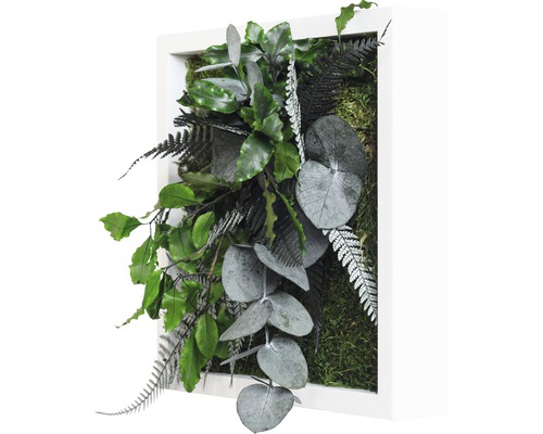 Machový obraz s rôznymi rastlinami v bielom ráme