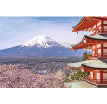 Krajina s horou Fudži, mestom a japonskou vežou
