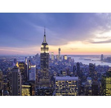 Pohľad na panorámu New Yorku s budovou Empire State Building