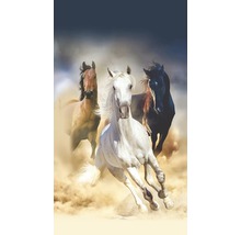 Foto tapeta s tromi cválajúcimi koňmi