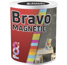 Vedro magnetickej farby Bravo Magnetic
