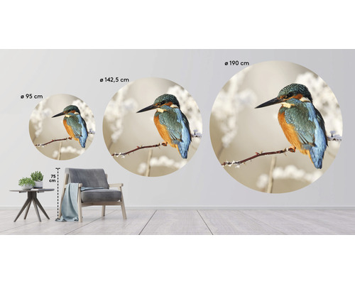 Nástenná dekorácia s motívom rybárika riečneho v rôznych veľkostiach v obývacej izbe