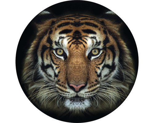 Fototapeta vliesová Tiger 95 cm