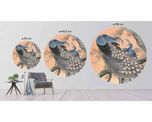 Ilustrácia pávov ako nástenná maľba v troch rôznych veľkostiach s priemermi 95 centimetrov, 142,5 centimetrov a 190 centimetrov.