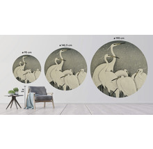 Fototapeta vliesová Japonské žeriavy 95 cm