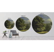Fototapeta vliesová Bentheimský les 95 cm