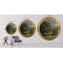 Fototapeta vliesová Bentheimský les 95 cm