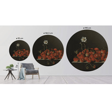 Fototapeta vliesová A. Coorte 95 cm