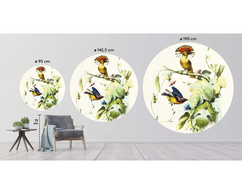 Rôzne veľkosti okrúhlej nástennej dekorácie s motívom vtáka v zobrazení miestnosti