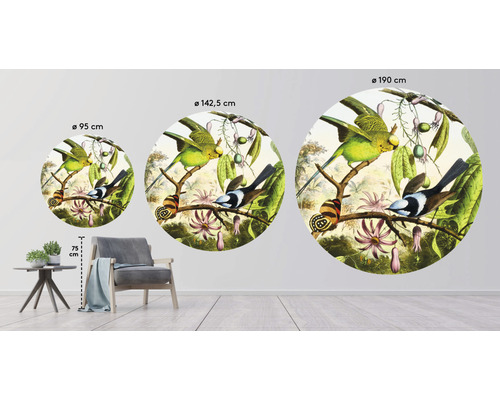 Tri nástenné kruhy s motívmi vtákov v rôznych veľkostiach, priemer 95 cm, 142,5 cm a 190 cm.