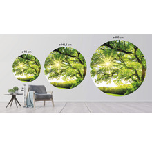 Fototapeta vliesová Stromček 95 cm