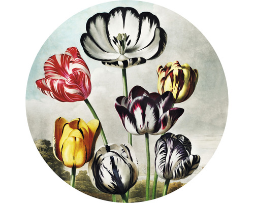 Fototapeta vliesová Tulipány 95 cm