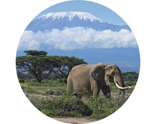 Fototapeta vliesová Kilimandžáro 95 cm
