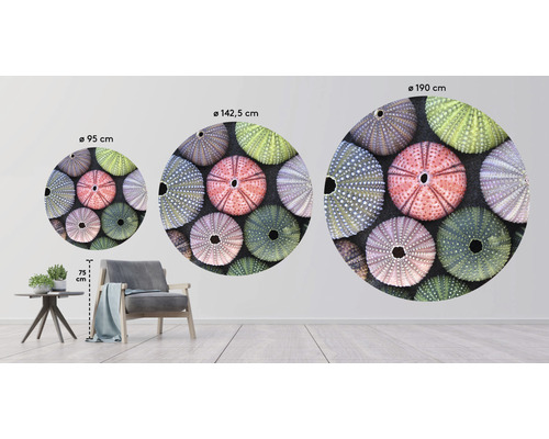 Ilustrácia okrúhlych nástenných nálepiek v troch rôznych veľkostiach s motívom morského ježka v obývacej izbe