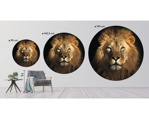Dekoratívna nástenná nálepka s motívom leva v rôznych veľkostiach