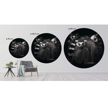 Fototapeta vliesová Lemur 95 cm