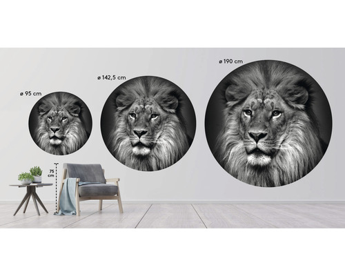 Nástenná nálepka lev v rôznych veľkostiach