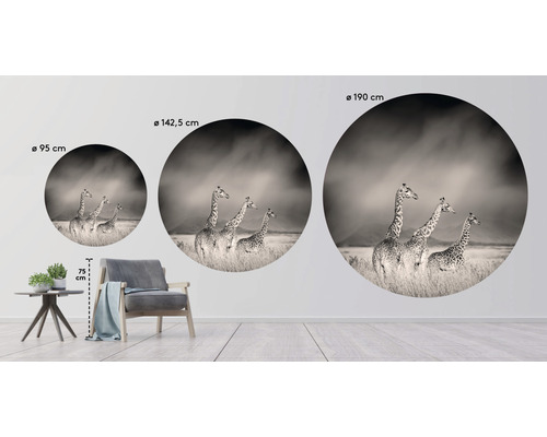 Nástenný obraz s motívom žirafy v troch rôznych veľkostiach