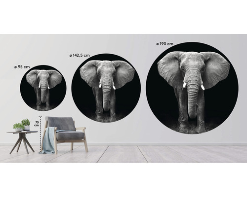 Nástenná dekorácia s motívom slona v troch veľkostiach