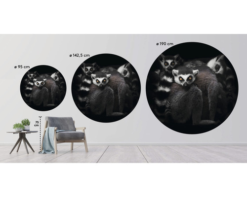 Nástenná samolepka s motívom lemurov v rôznych veľkostiach na stene