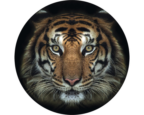 Fototapeta vliesová Tiger 142,5 cm