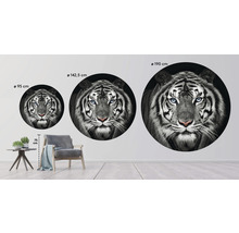 Fototapeta vliesová Tiger čb 142,5 cm