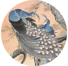 Fototapeta vliesová Japonský páv 142,5 cm
