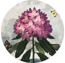 Fototapeta vliesová Rododendron 142,5 cm