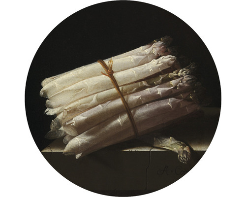 Fototapeta vliesová A. Coorte 142,5 cm