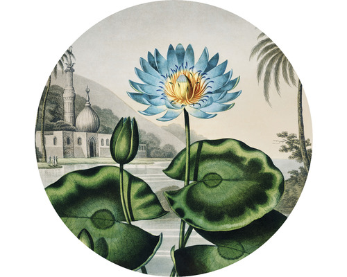 Fototapeta vliesová Lekno 142,5 cm