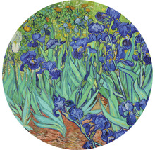 Maľba kosatcov od Vincenta van Gogha