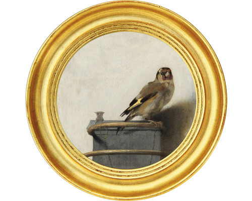 Fototapeta vliesová Stehlík 142,5 cm